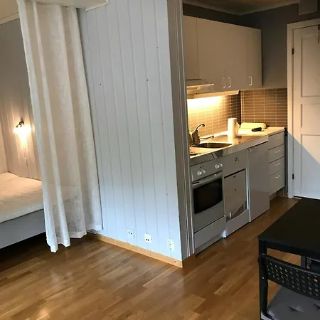 Bright And Apartment Trondheim